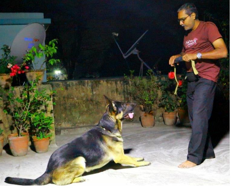 DOG TRAINER AND BEHAVIORIST - ARIJIT PATHAK 