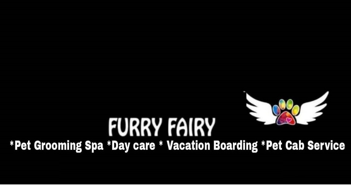 FURRY FAIRY