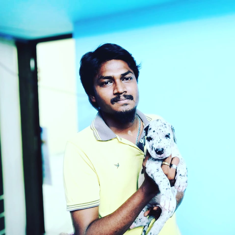 SIGARO PETS CHENNAI 