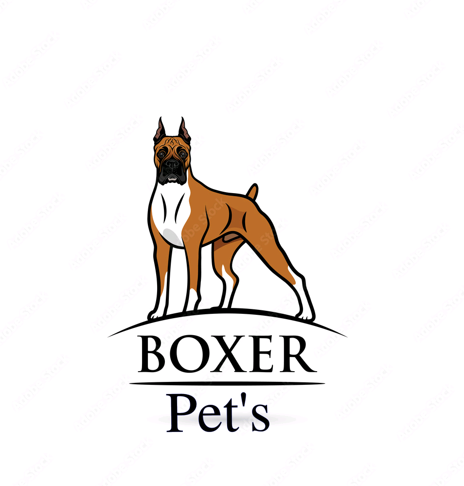 BOXER PET 