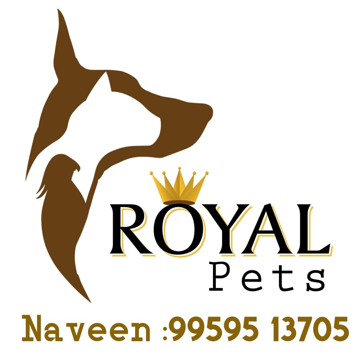 ROYAL PET SHOP NELLORE