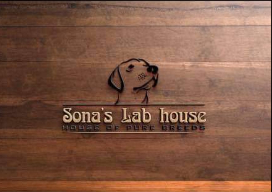 SONA LAB HOUSE